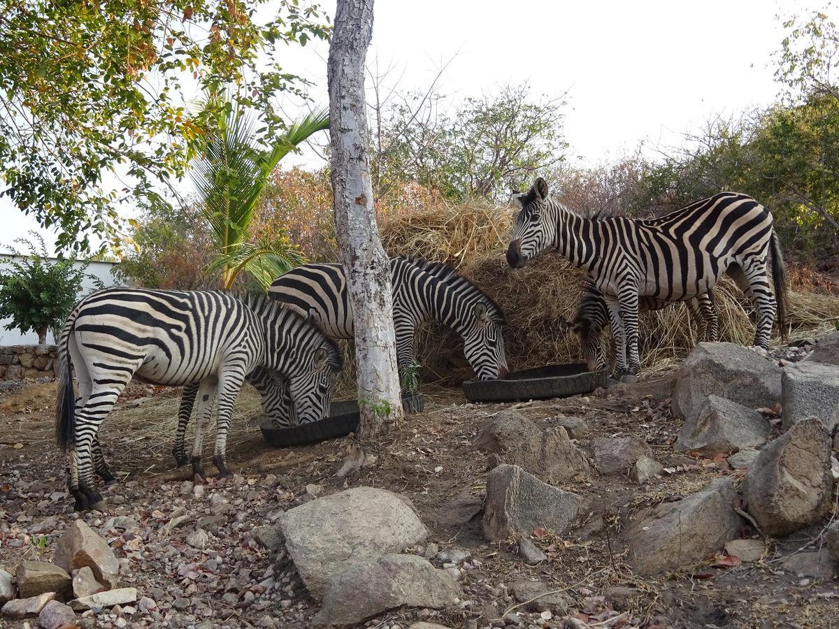סיאבונגה Lake Kariba Inns מראה חיצוני תמונה